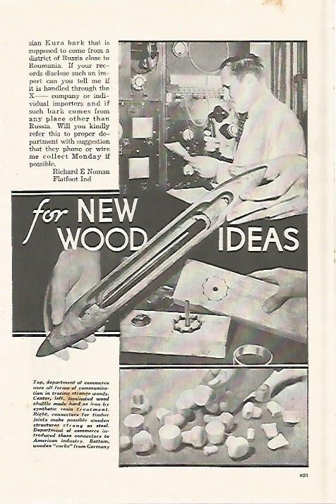 LAMINA 8237: New wood ideas