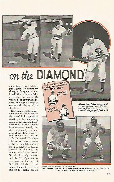 LAMINA 8245: The Diamond