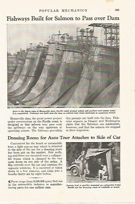 LAMINA 8259: Bonneville dam