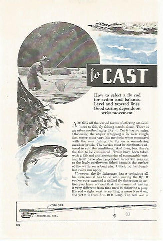 LAMINA 8271: Pesca