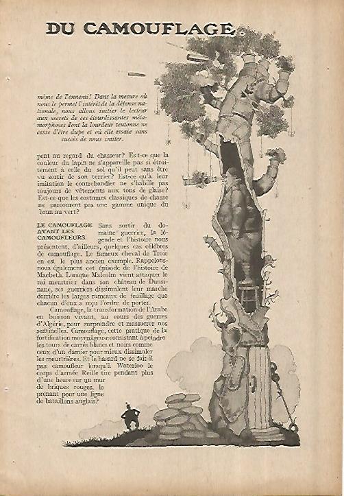 LAMINA 8330: Camuflaje
