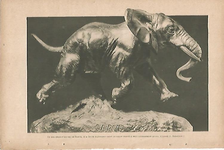 LAMINA 8407: Joven elefante por A. Giraudon