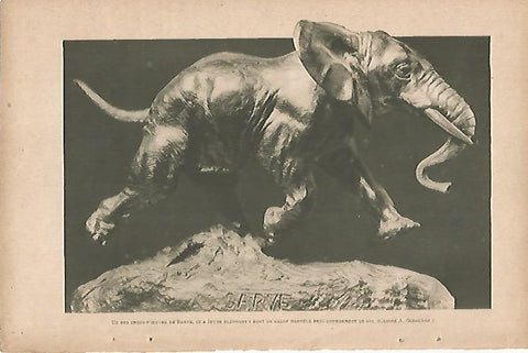 LAMINA 8407: Joven elefante por A. Giraudon