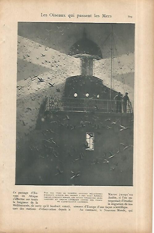 LAMINA 8528: Faro 