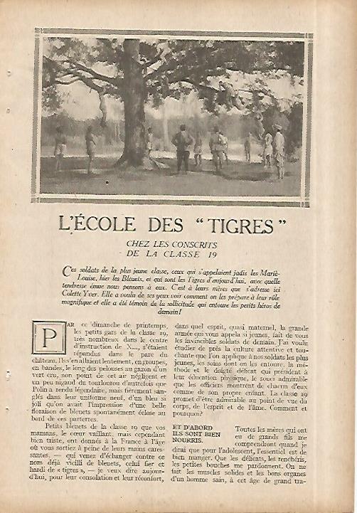 LAMINA 8585: La escuela de los tigres
