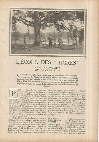 LAMINA 8585: La escuela de los tigres