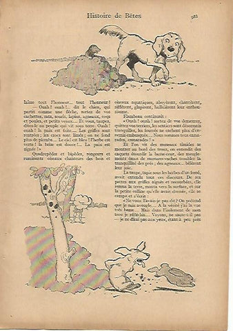 LAMINA 8626: Dibujos de Benjamin Rabier