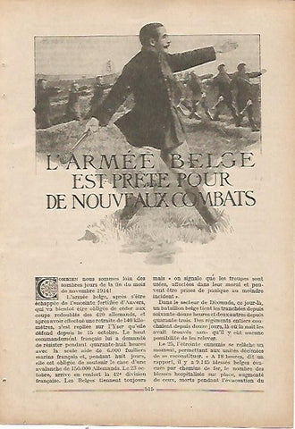 LAMINA 8654: Ejercito de Belgica