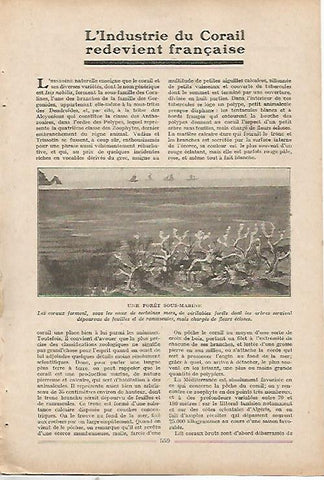 LAMINA 8676: Corales
