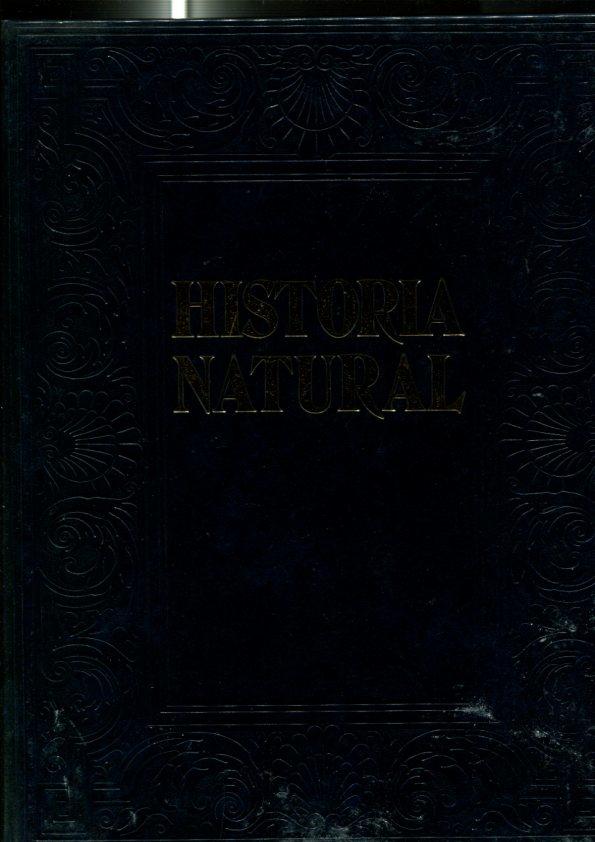 Historia Natural volumen 4: Invertebrados: 