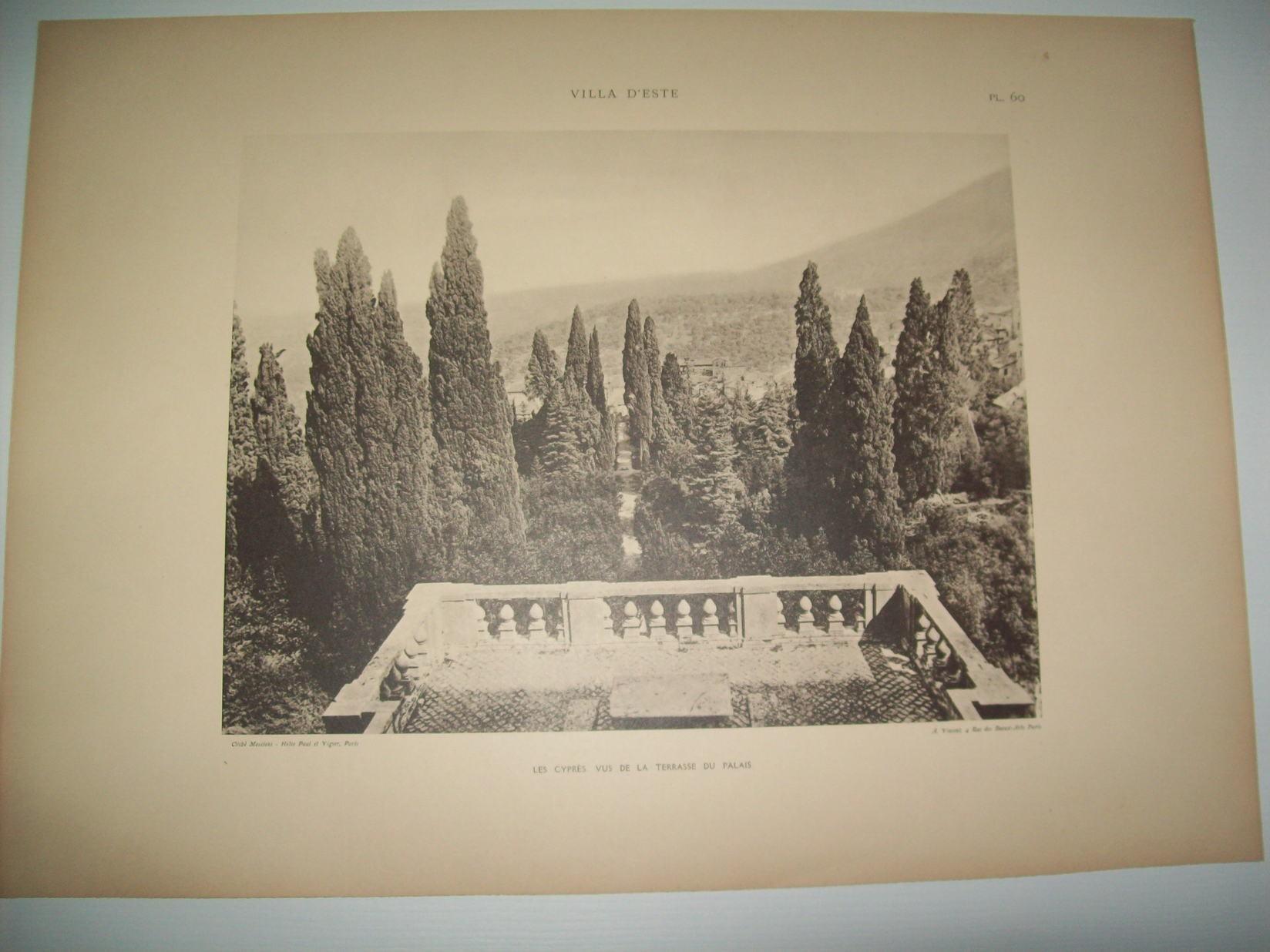 Lamina 1180: VILLA DESTE (TIVOLI). LES CYPRES
