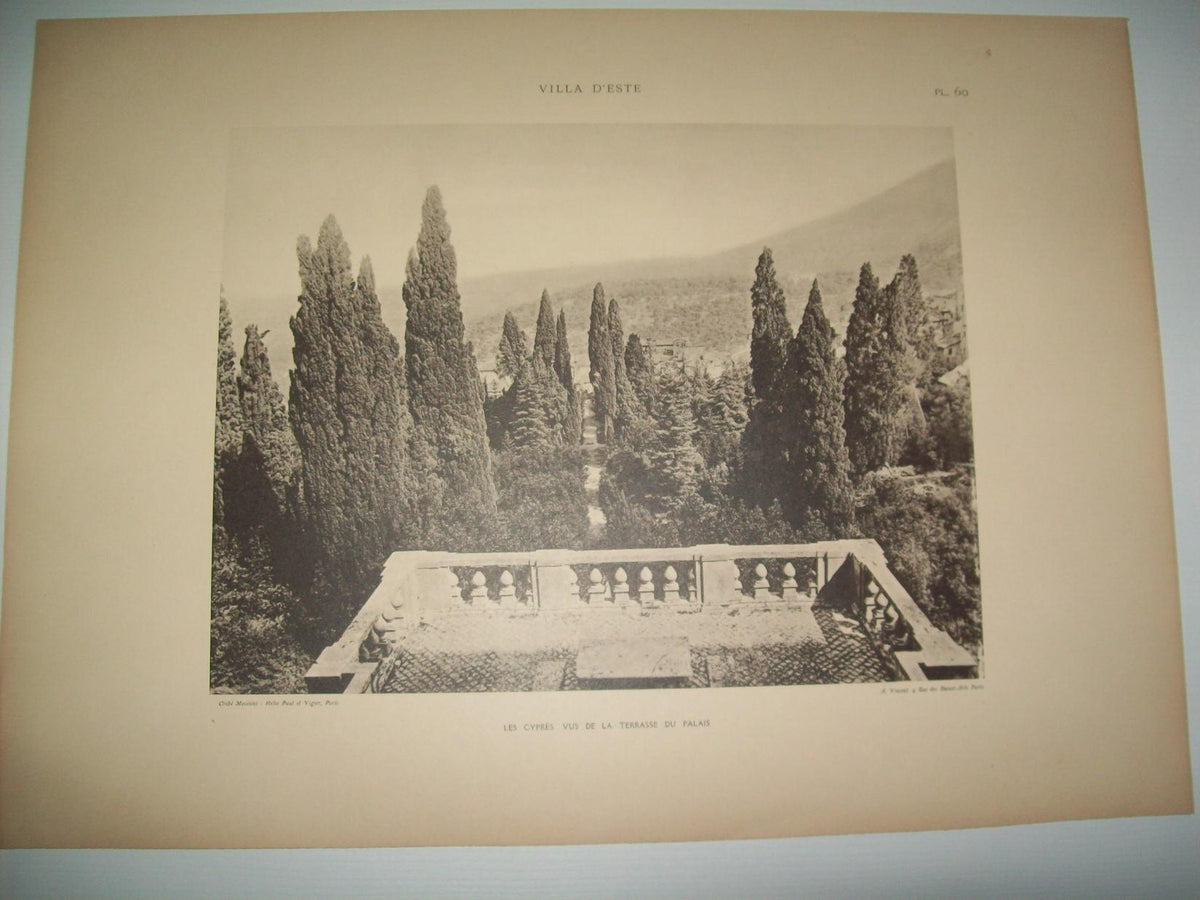 Lamina 1180: VILLA DESTE (TIVOLI). LES CYPRES