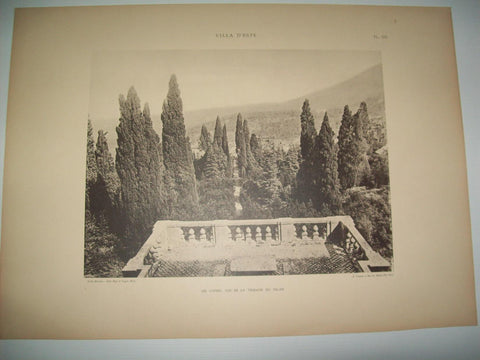Lamina 1180: VILLA DESTE (TIVOLI). LES CYPRES