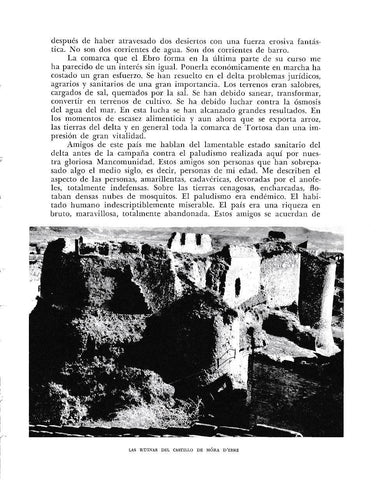 LAMINA 6559: Las ruinas del castillo de Mora d Ebre