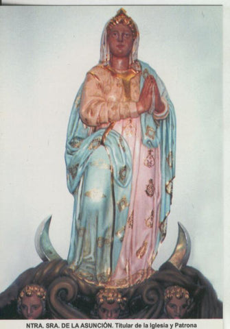 Postal 008992: Virgen Ntra Sra de la Asuncion, patrona de Mesones de Isuela, Zaragoza