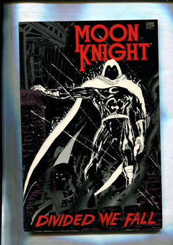 Moon Knight: Divided We Fall