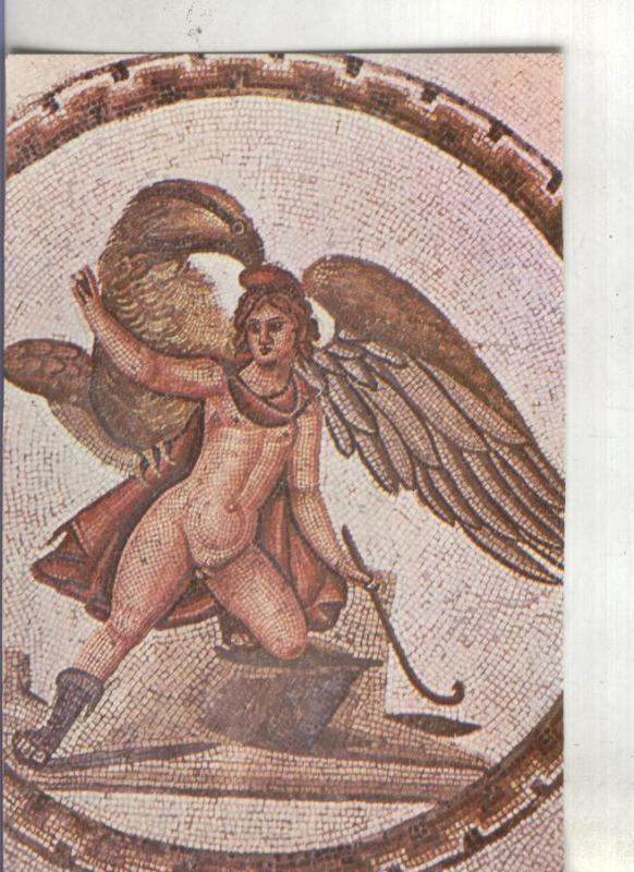 Postal: Musee de Sousse: Deetail de mosaique