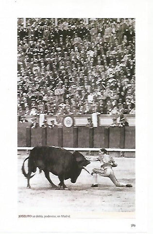 LAMINA COSSIO 50404: Joselito en Madrid