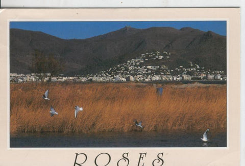 Postal 07853 : Costa Brava, Rosas 