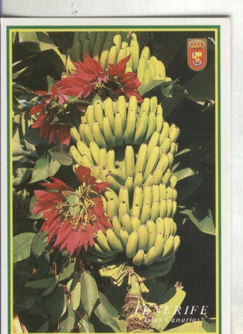 Postal: Islas Canarias. Platanos