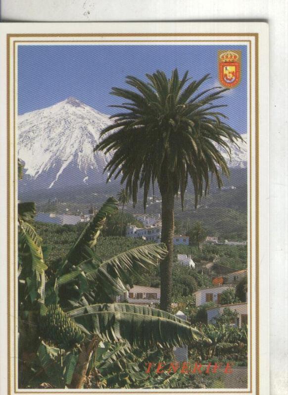 Postal: Islas Canarias. Plataneras y el Teide