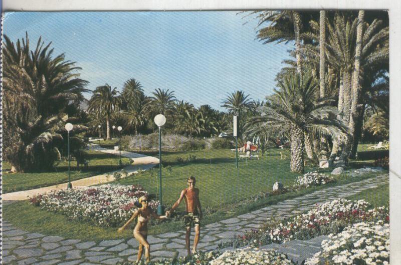 Postal 5104 : Hotel Maspalomas Oasis en maspalomas-Canarias