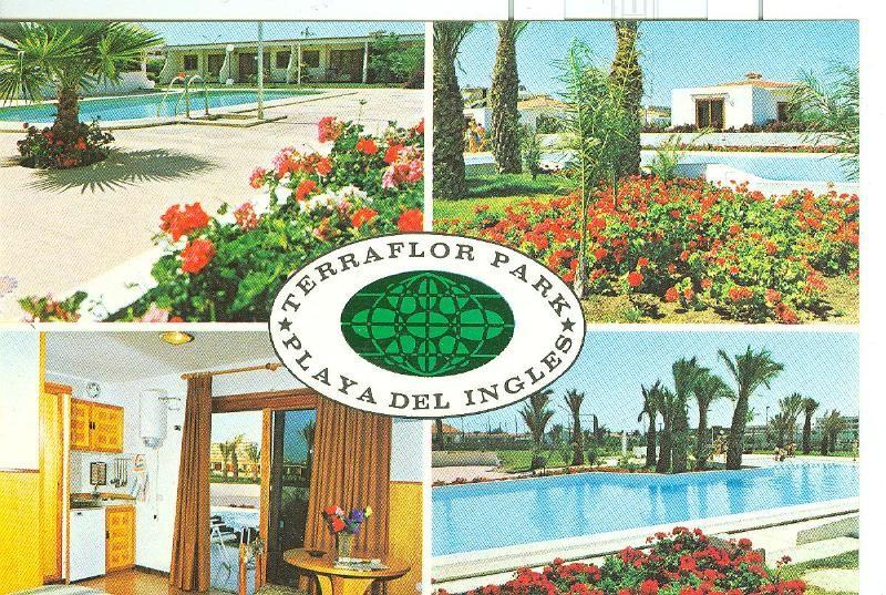 Postal 6165 : Terraflor Park, Playa del ingles, Canarias