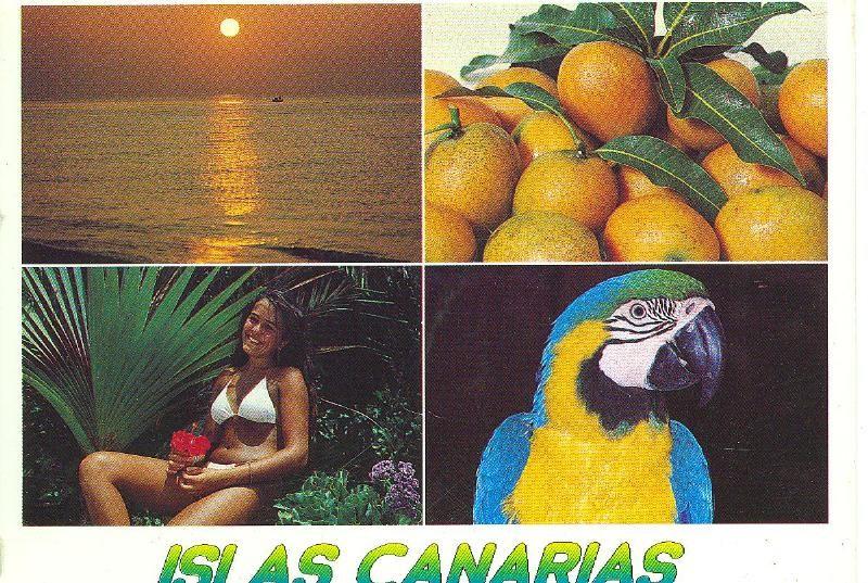 Postal 6184 : Isla Canarias