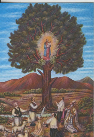 Postal 008949: Virgen Ntra Sra del Pino, Villa de Teror, Canarias