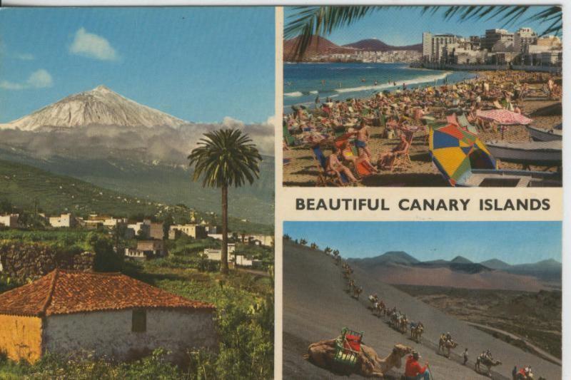 Postal 008118: Islas Canarias