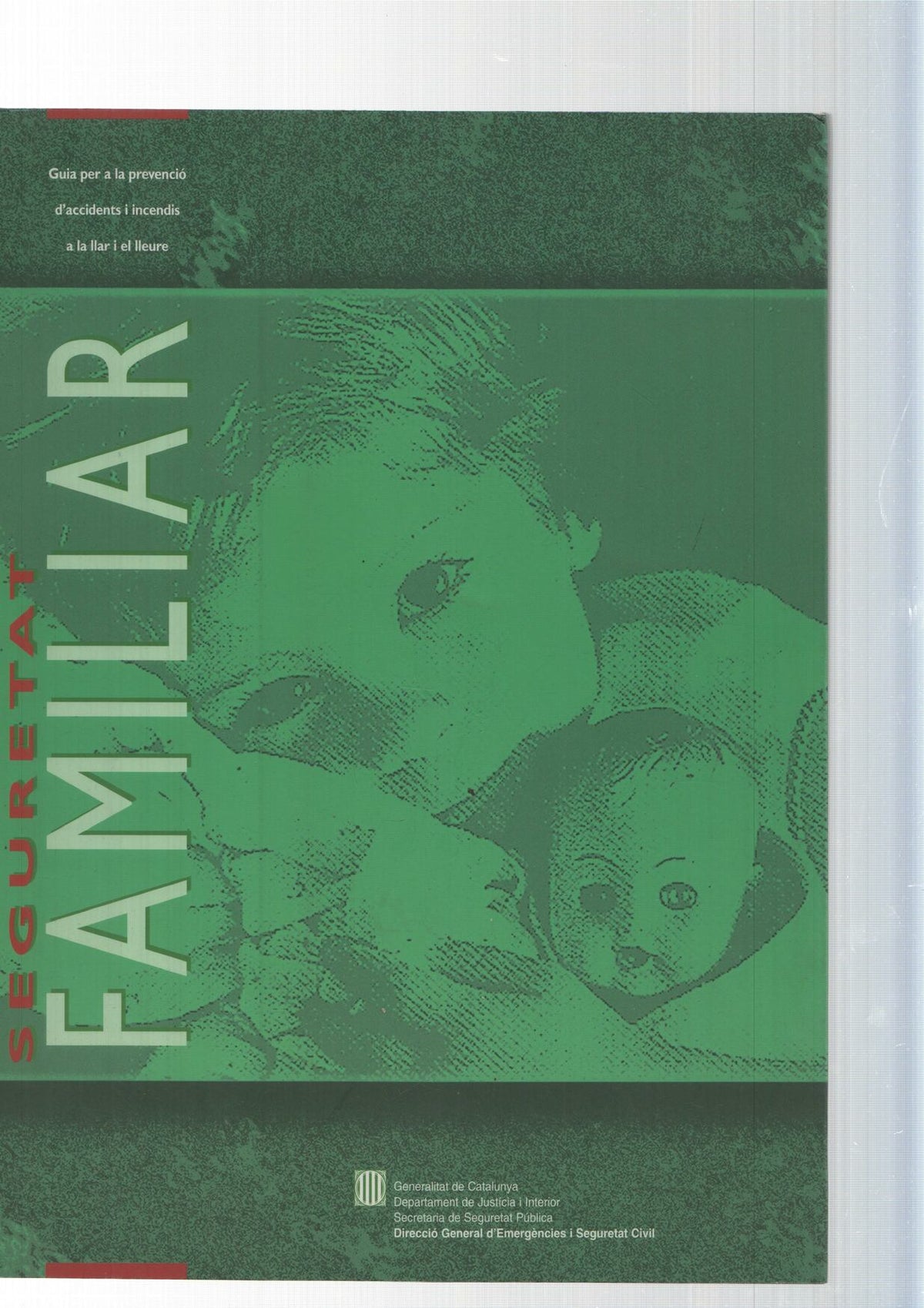 Seguretat familiar
