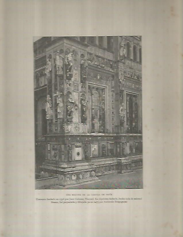LAMINA 9583: Cartuja de Pavia