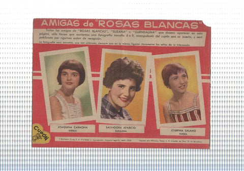 Rosas Blancas numero 073: Alfonso y sus muchachos