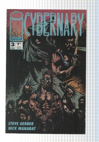 Image: Deathblow num 3 mas Cybernary  num 3. comic reversible. WildStorm Productions