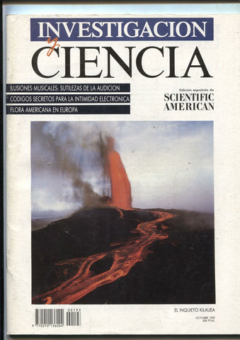 Investigacion y Ciencia numero  193: Dinamica del volcan Klauea