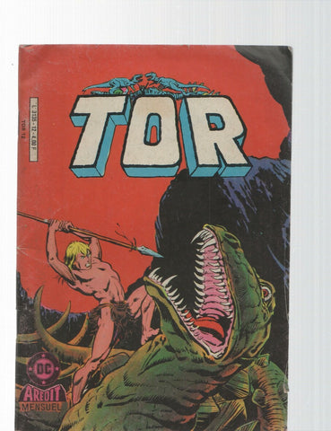 Tor mensuel numero 12: Chevalier silencieux, Kong, etc