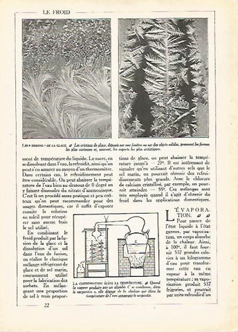 LAMINA 10156: Los diseños de la nieve