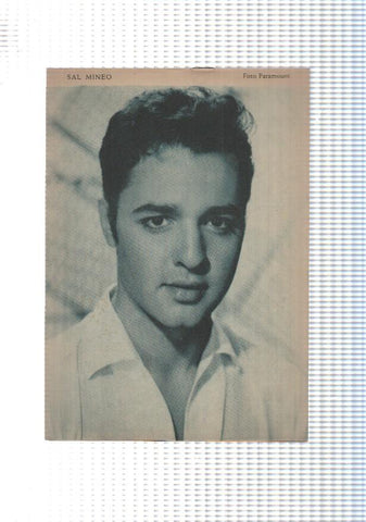 Mary Noticias numero 055: trasera foto artista Sal Mineo