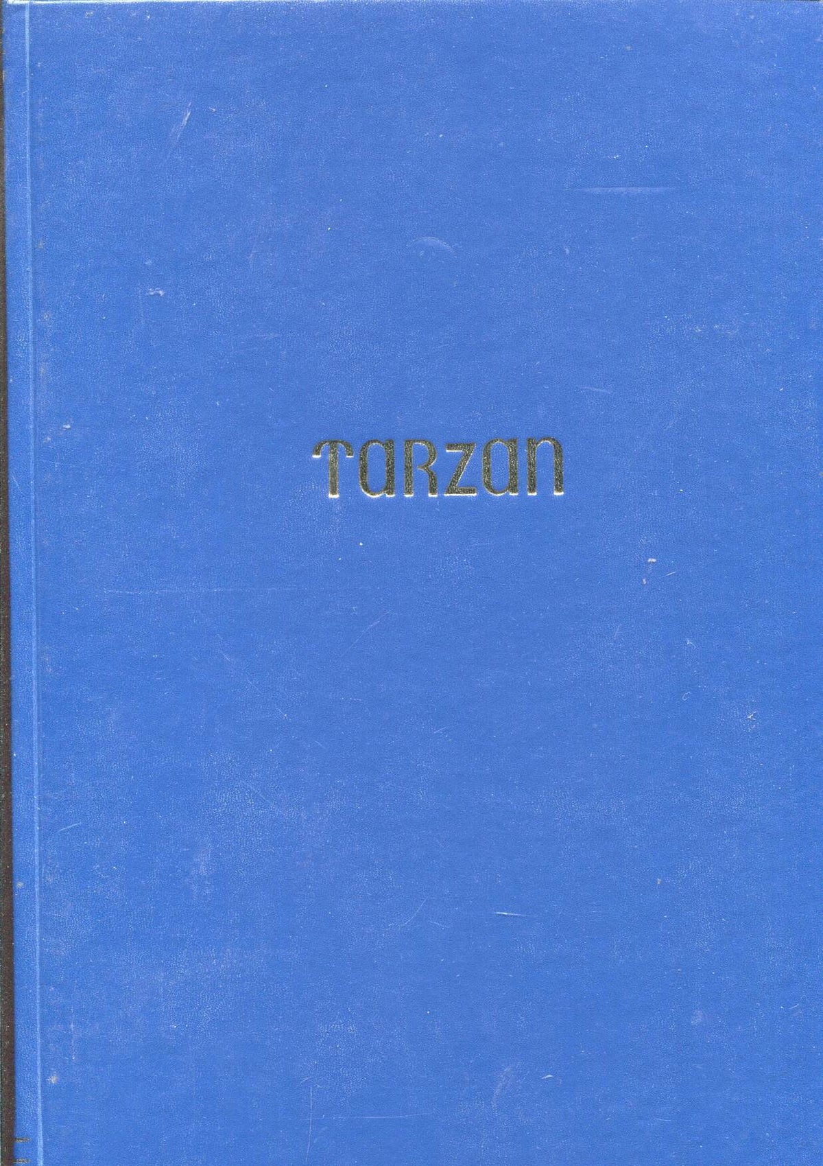 Joaquin Esteve: Tarzan  de Foster y Hogarth