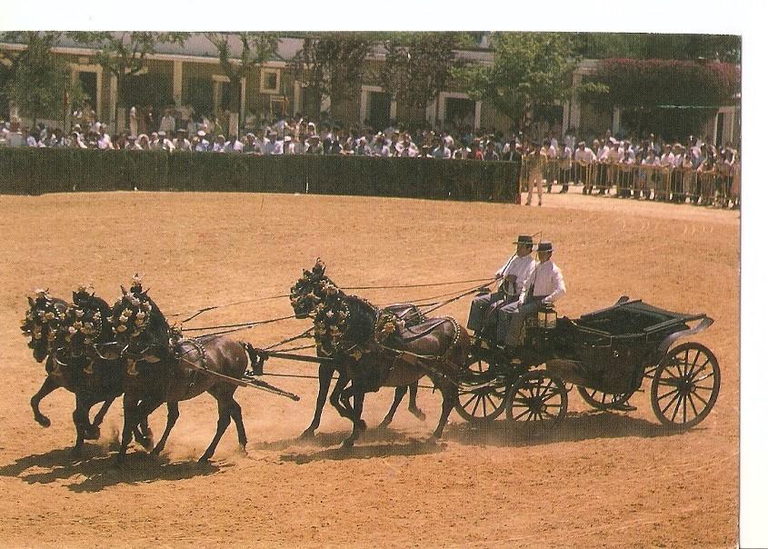 Postal 043458 : El caballo en Andalucia