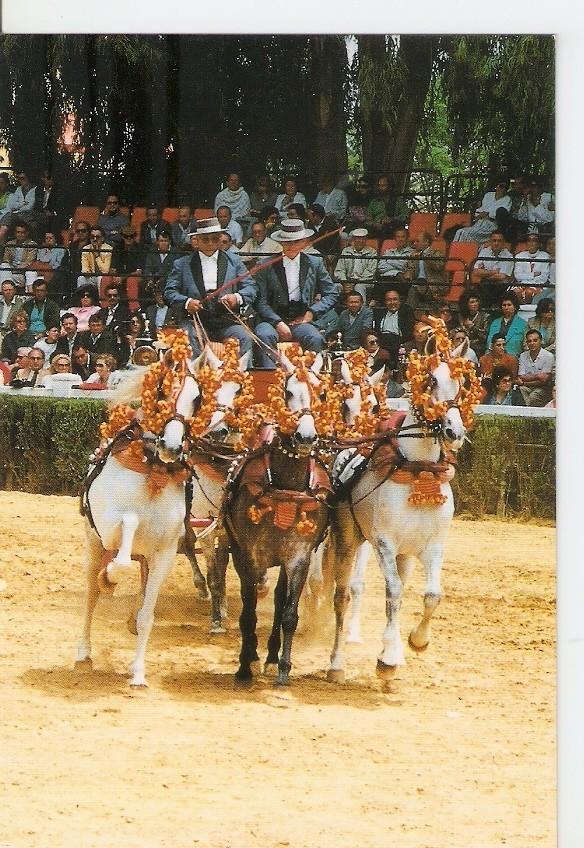 Postal 043430 : El caballo en Andalucia