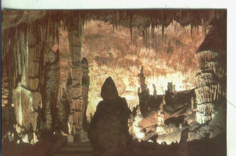 Postal 4316 : Mallorca: Porto Cristo: Cuevas del Drach: Monje y Cactus