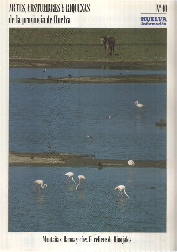 Huelva informacion: num 40 Tomo 2 de Artes, Costumbres y Riquezas de la provincia de Huelva - Montañas, llanos y rios