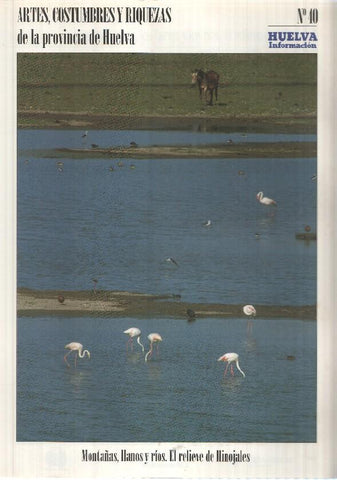 Huelva informacion: num 40 Tomo 2 de Artes, Costumbres y Riquezas de la provincia de Huelva - Montañas, llanos y rios