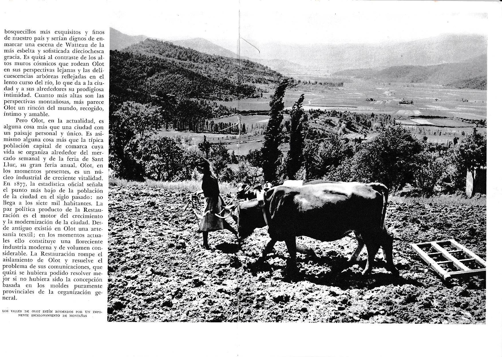 LAMINA 6365: Los valles escalonados de Olot