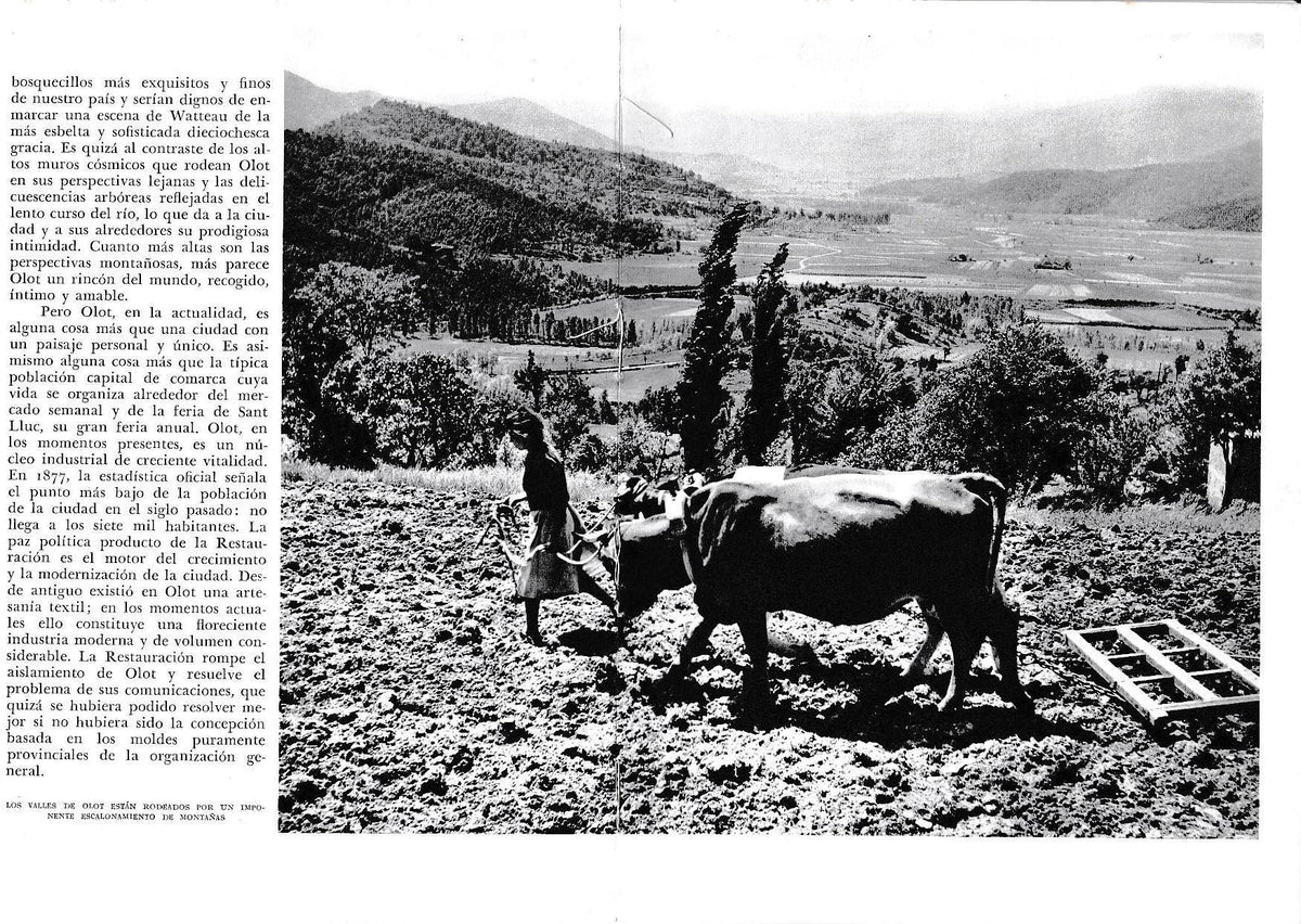 LAMINA 6365: Los valles escalonados de Olot