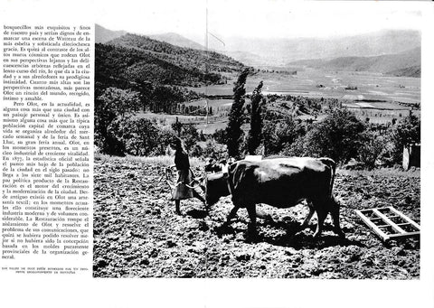 LAMINA 6365: Los valles escalonados de Olot
