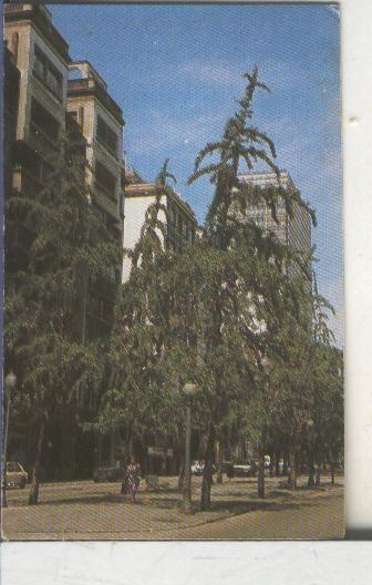Cromos: Arbres de Barcelona numero 01.A: Grinkgo 