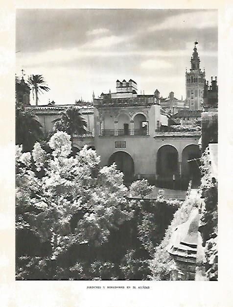 LAMINA 10734: Jardines del Alcazar de Sevilla