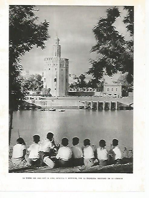 LAMINA 10745: La Torre del Oro